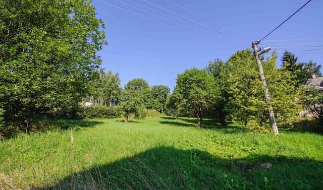 Prodej stavebního pozemku 4 188 m², Zlatá Olešnice, okres Jablonec nad Nisou