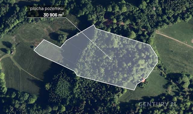 Prodej lesa 30 906 m², Nýdek, okres Frýdek-Místek