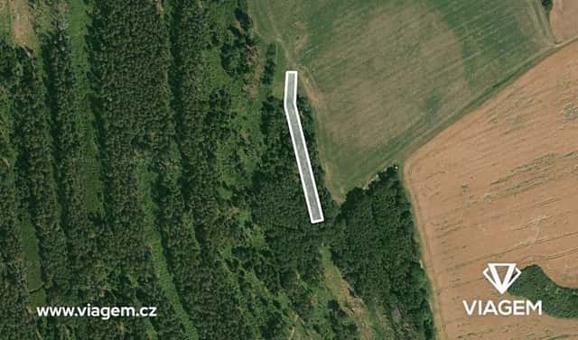 Prodej lesa 1 490 m², Blížejov, okres Domažlice