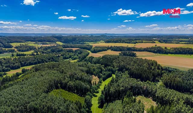 Prodej lesa 57 919 m², Bílá, okres Liberec