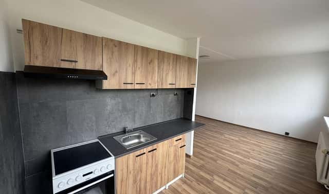 Pronájem bytu 1+1 33 m², Javorová, Most
