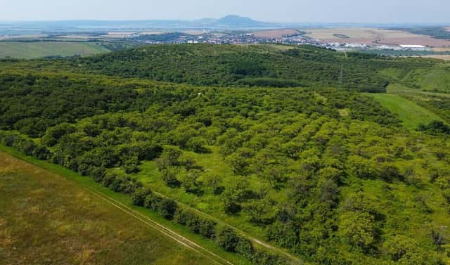 Prodej pozemku 3 780 m², Hustopeče, okres Břeclav