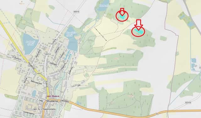Prodej lesa 4 659 m², Studená, okres Jindřichův Hradec