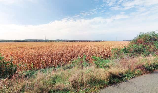 Prodej pole 69 111 m², Perná, okres Břeclav