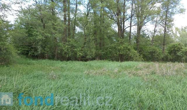 Prodej pozemku 1 844 m², Dětmarovice – Koukolná, okres Karviná
