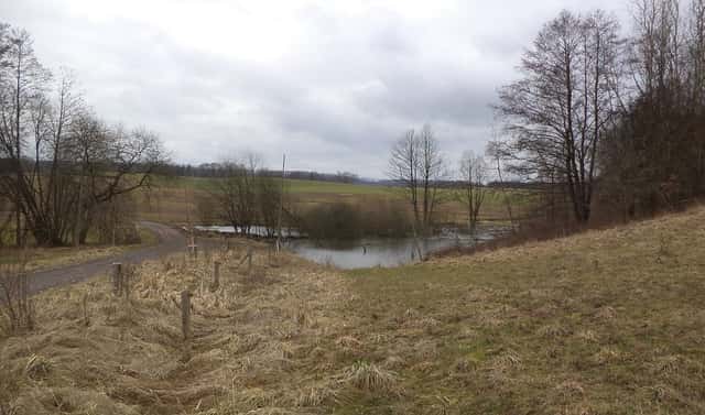 Prodej pole 1 500 m², Ostrov, okres Ústí nad Orlicí