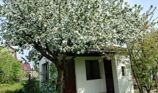 Prodej zahrady 356 m², Na Vyhlídce, Šenov u Nového Jičína, okres Nový Jičín