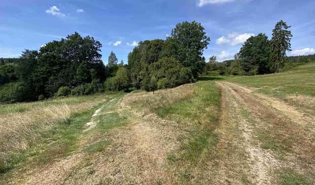 Prodej zahrady 2 258 m², Staré Město pod Landštejnem – Vitíněves, okres Jindřichův Hradec