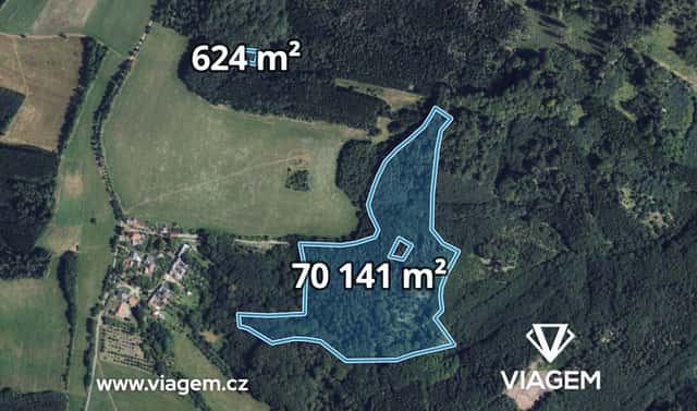 Prodej lesa 3 234 m², Městečko Trnávka, okres Svitavy