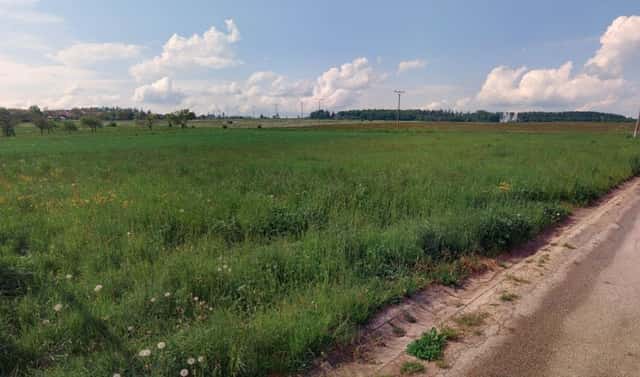 Prodej stavebního pozemku 6 061 m², Studnice, okres Vyškov