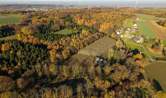 Pronájem komerčního pozemku 22 800 m², Na Hříbovci, Markvartovice, okres Opava