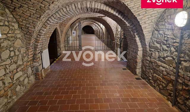Pronájem obchodních prostor 650 m², Uherské Hradiště