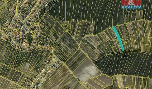 Prodej pole 5 779 m², Němčičky, okres Břeclav