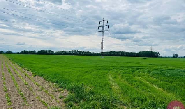 Prodej komerčního pozemku 29 280 m², Liboš, okres Olomouc