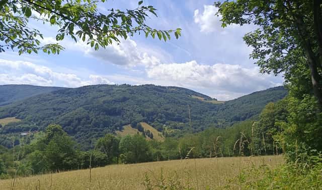 Prodej pozemku 42 844 m², Lopeník, okres Uherské Hradiště