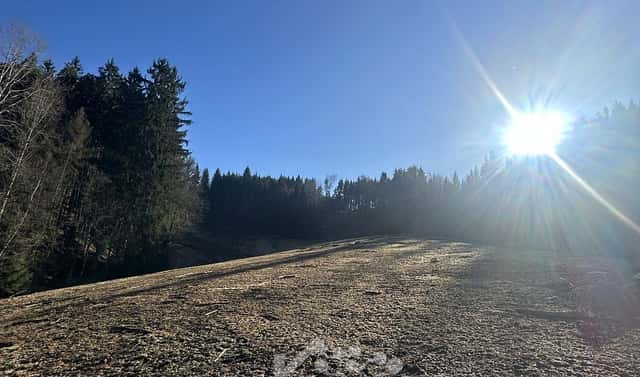 Prodej louky 15 029 m², Bozkov, okres Semily