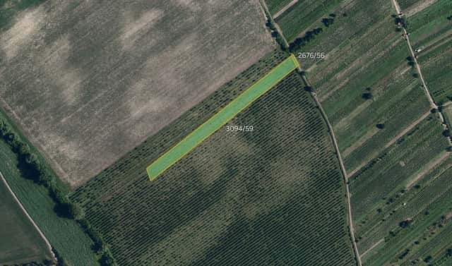 Prodej pole 4 613 m², Prušánky, okres Hodonín