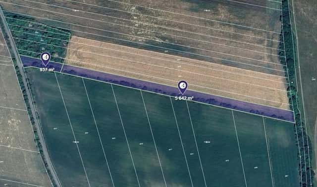 Prodej pole 6 579 m², Javorník, okres Hodonín