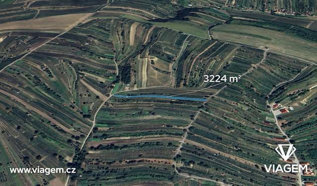 Prodej pole 604 m², Mutěnice, okres Hodonín
