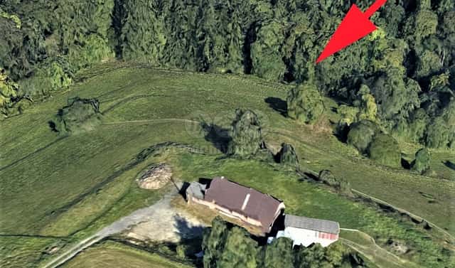 Prodej louky 1 670 m², Koberovy, okres Jablonec nad Nisou