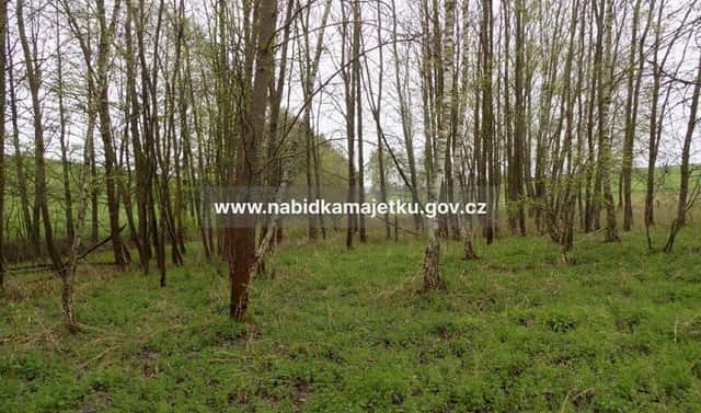 Prodej pozemku 618 m², Lestkov, okres Tachov