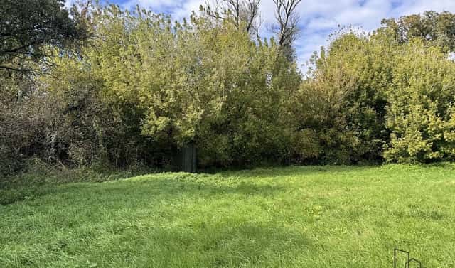 Prodej louky 3 793 m², Rohatec, okres Hodonín