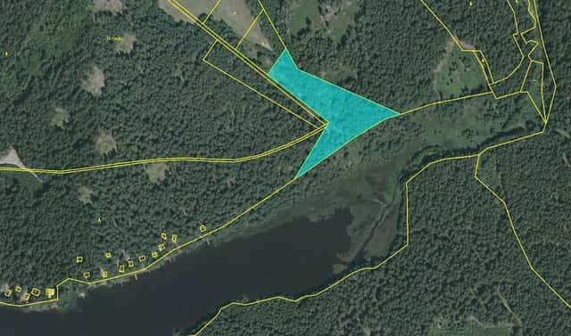 Prodej louky 9 920 m², Nová Bystřice – Blato, okres Jindřichův Hradec