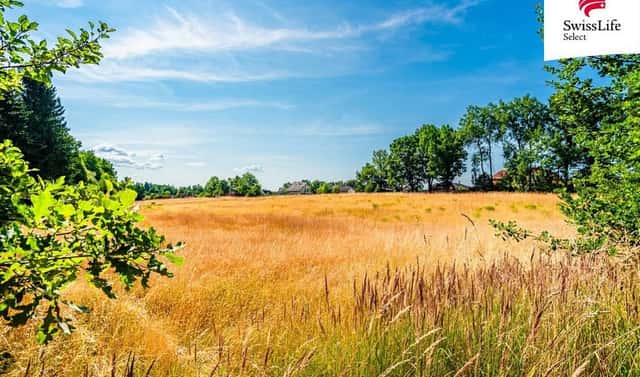 Prodej komerčního pozemku 11 001 m², Rodvínov, okres Jindřichův Hradec