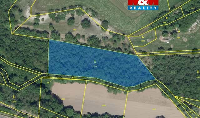 Prodej lesa 6 203 m², Lipno – Lipenec, okres Louny