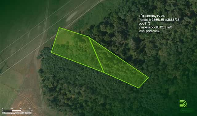 Prodej lesa 1 239 m², Dubňany, okres Hodonín