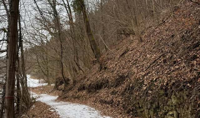Prodej lesa 2 337 m², Zlatá Koruna – Varnsdorf, okres Český Krumlov