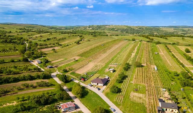 Prodej stavebního pozemku 1 528 m², Velké Pavlovice, okres Břeclav
