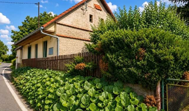 Prodej chaty/chalupy 90 m² s pozemkem 576 m², Mlečice – Prašný Újezd, okres Rokycany