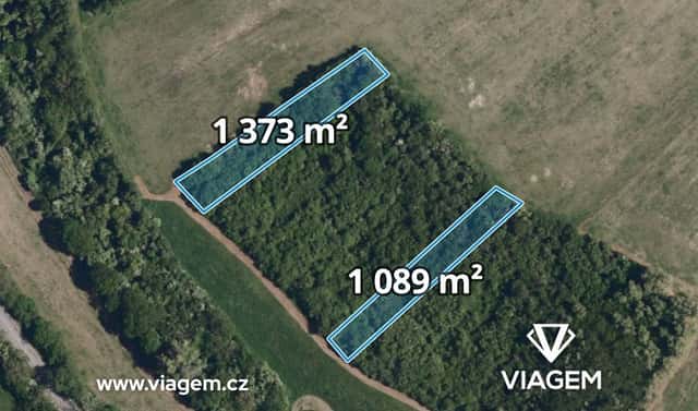 Prodej lesa 2 462 m², Kurdějov, okres Břeclav