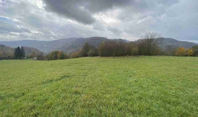Prodej pozemku 4 431 m², Děčín – Děčín XXVII-Březiny