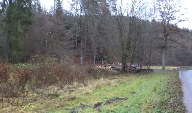 Prodej pozemku 1 295 m², Doksy – Žďár, okres Česká Lípa