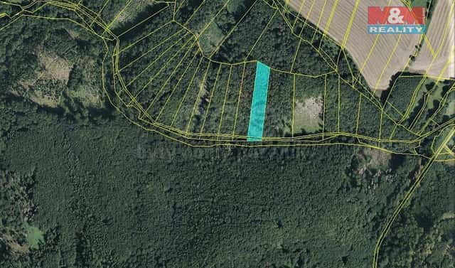 Prodej lesa 2 021 m², Vranová Lhota, okres Svitavy