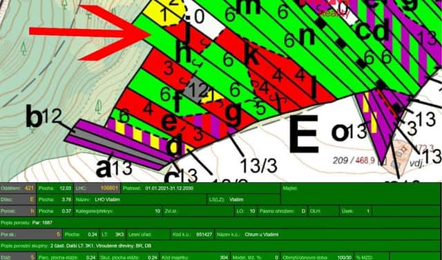 Prodej lesa 4 377 m², Chlum, okres Benešov