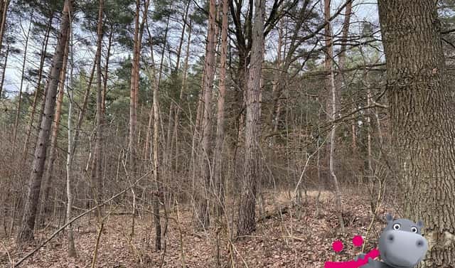 Prodej lesa 3 011 m², Lutonina, okres Zlín
