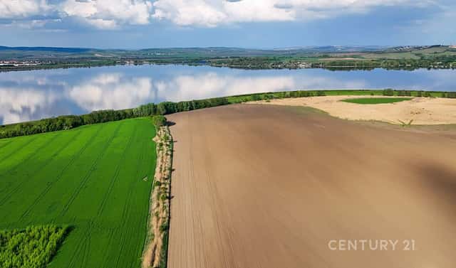 Prodej pole 9 682 m², Pavlov, okres Břeclav