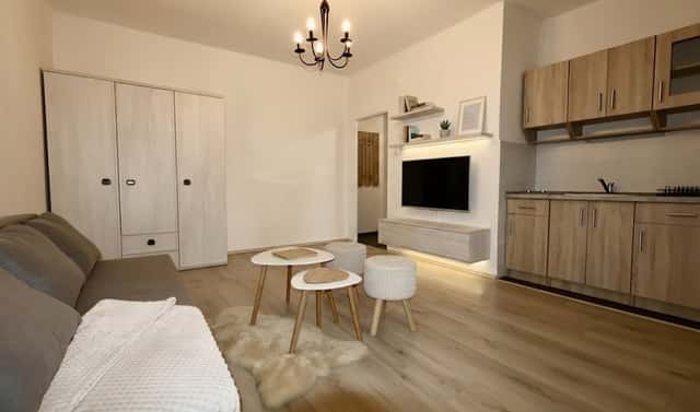 Pronájem bytu 1+kk 25 m², Aleše Hrdličky, Ostrava, okres Ostrava-město