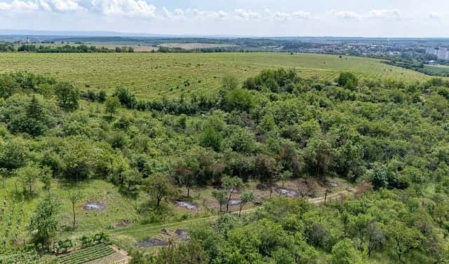 Prodej zahrady 1 007 m², Kyjov, okres Hodonín