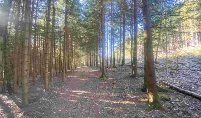 Prodej pole 1 644 m², Železná Ruda – Špičák, okres Klatovy