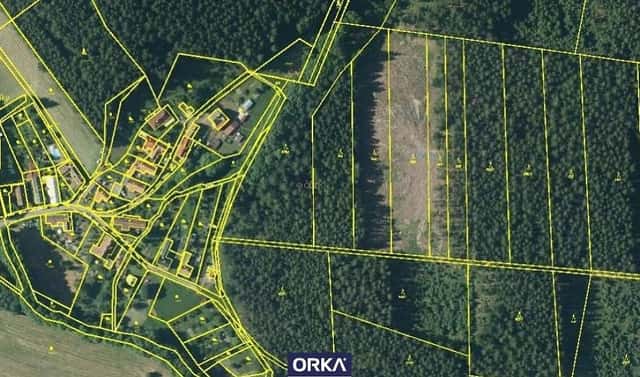 Prodej lesa 5 078 m², Budětsko, okres Prostějov