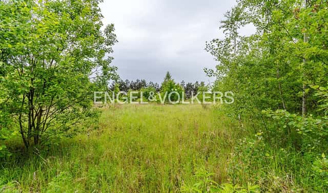 Pronájem komerčního pozemku 30 283 m², Chýnovská, Tábor