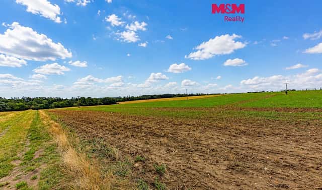 Prodej pole 9 154 m², Chlístovice, okres Kutná Hora