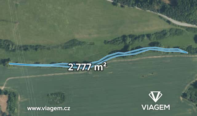 Prodej lesa 2 777 m², Svojšín, okres Tachov