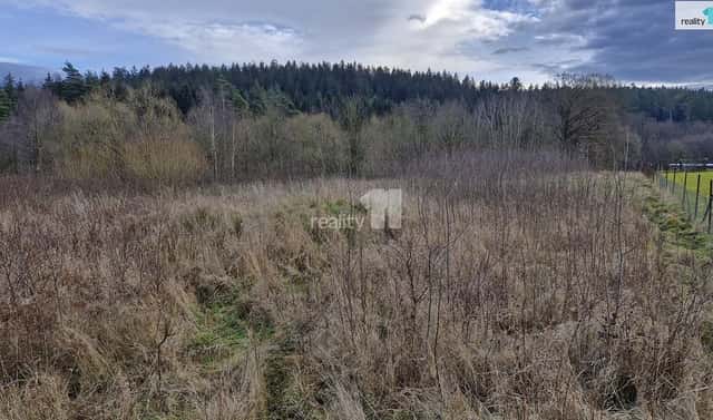 Prodej stavebního pozemku 2 983 m², Kynšperk nad Ohří – Zlatá, okres Sokolov