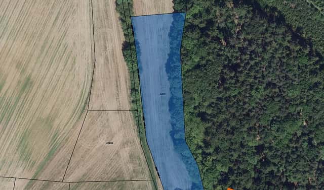 Prodej pole 597 m², Vinařice, okres Louny