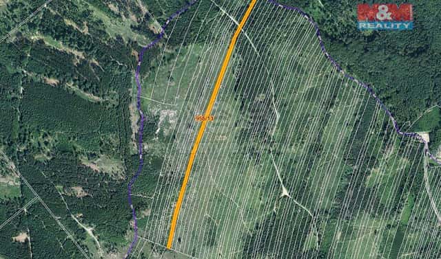 Prodej lesa 5 695 m², Nová Hradečná, okres Olomouc